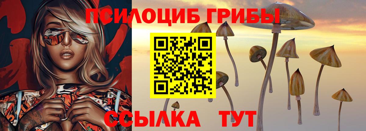 Галлюциногенные грибы GOLDEN TEACHER Красногорск